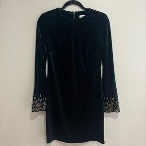 Calvin Klein Velvet Dress